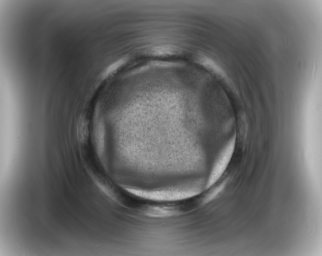 X0000085770164200704091359