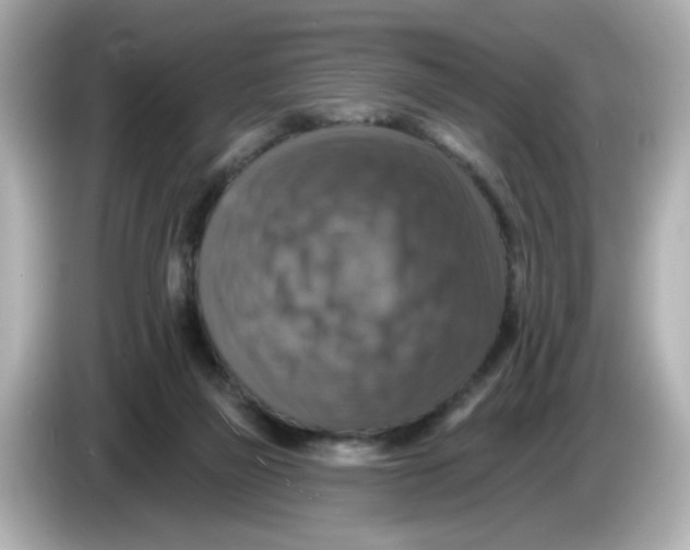 X0000085770165200704091359