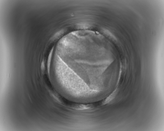 X0000085770166200704091359