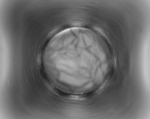 X0000085770167200704091359