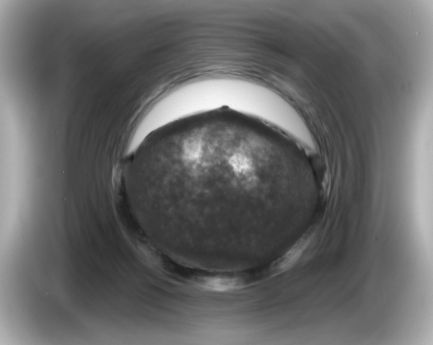 X0000085770168200704091359