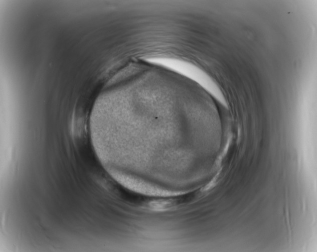 X0000085770172200704091359