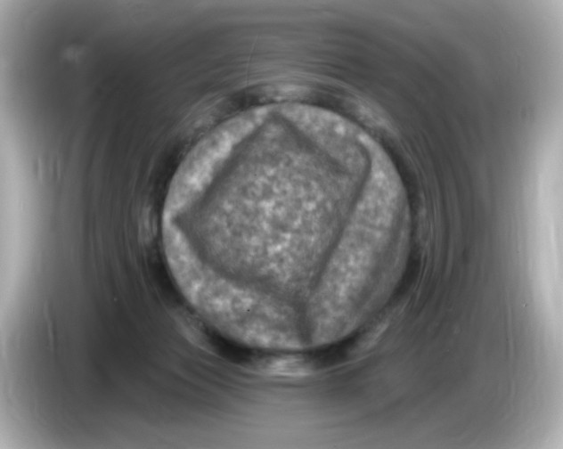 X0000085770173200704091359