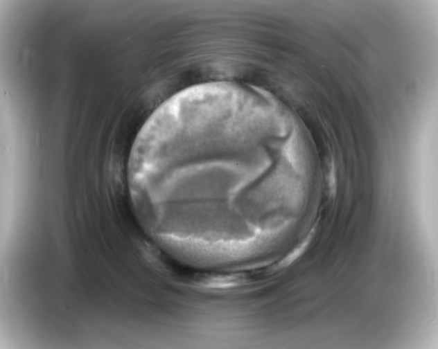 X0000085770178200704091359