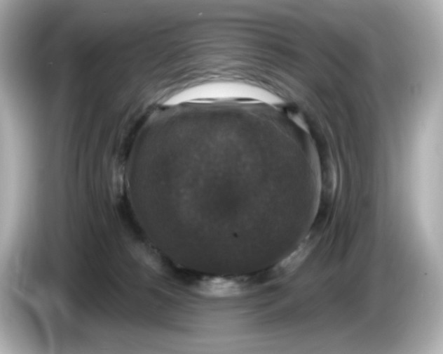 X0000085770180200704091359