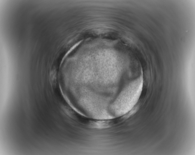 X0000085770184200704091359