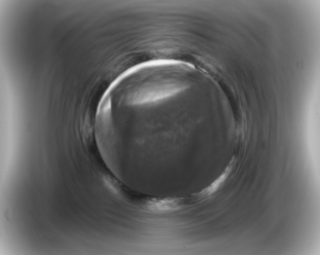 X0000085770186200704091359