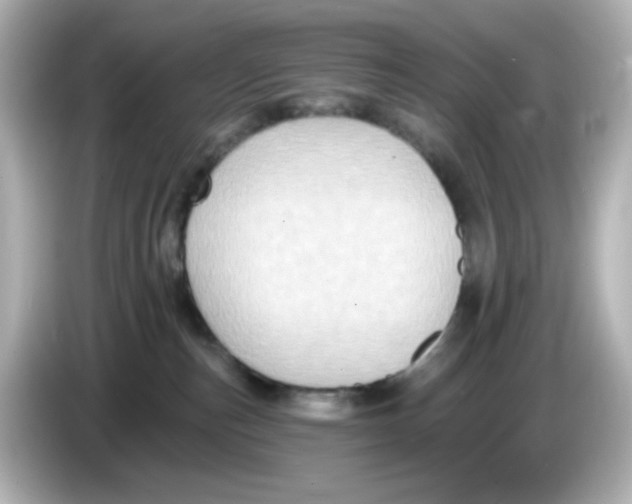 X0000085770187200704091359