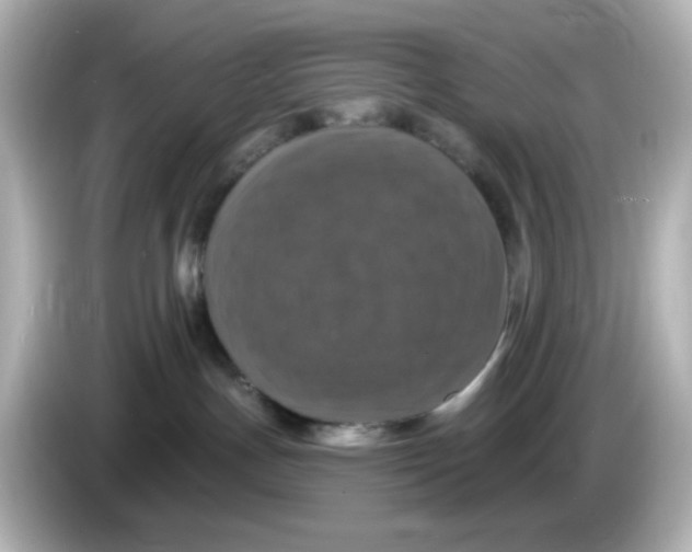 X0000085770191200704091359