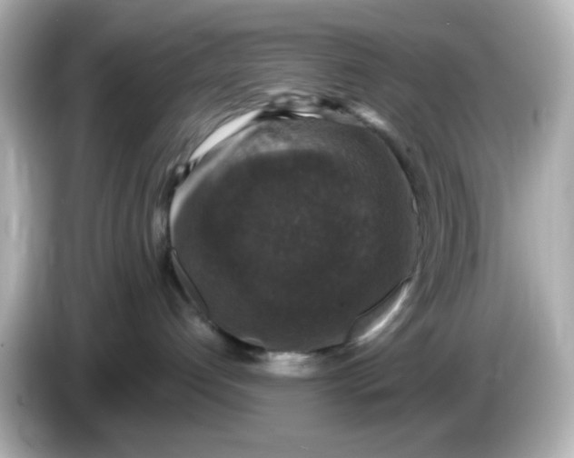 X0000085770192200704091359