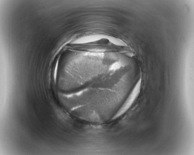 X0000085770194200704091359