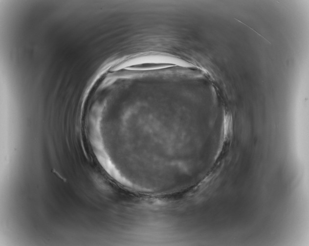 X0000085770195200704091359