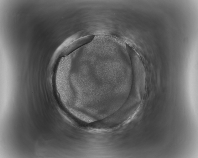 X0000085770197200704091359