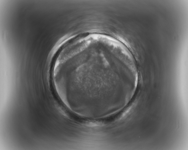 X0000085770199200704091359