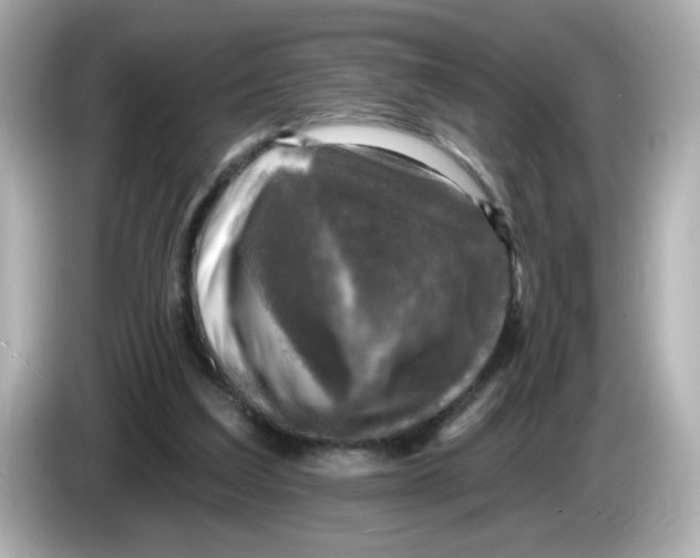 X0000085770203200704091359