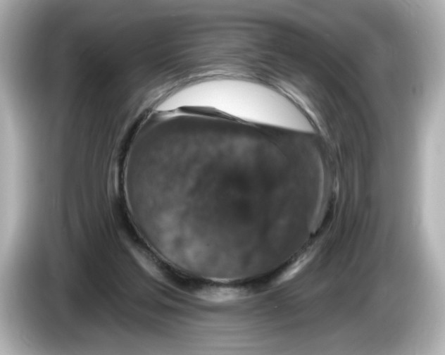 X0000085770205200704091358