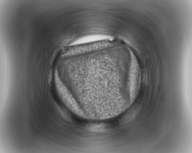 X0000085770206200704091358