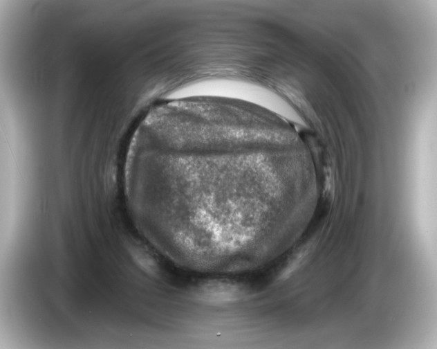 X0000085770207200704091358