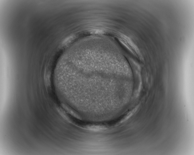 X0000085770209200704091358