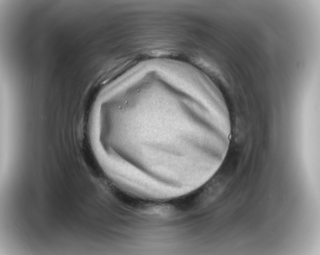 X0000085770210200704091358