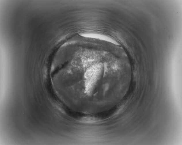 X0000085770211200704091358