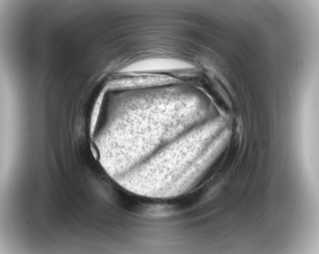 X0000085770212200704091358