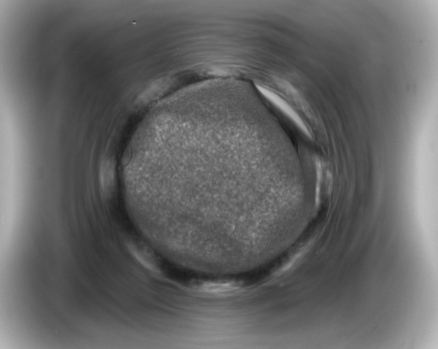 X0000085770213200704091358