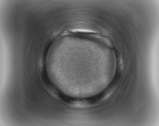 X0000085770215200704091358