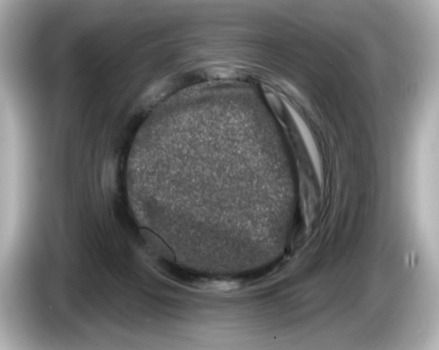 X0000085770217200704091358