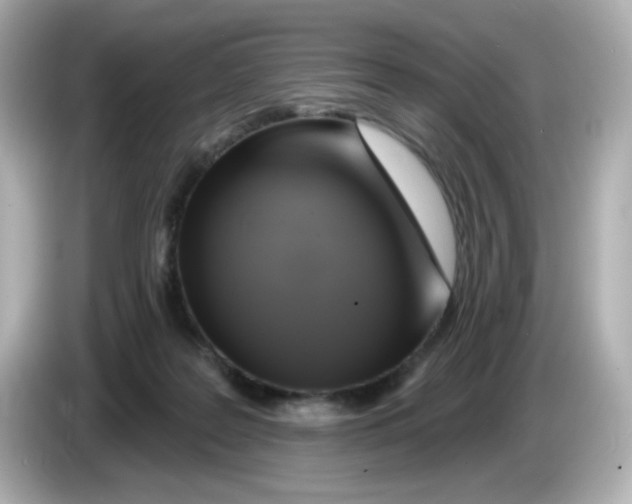 X0000085770219200704091358