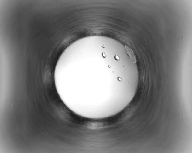 X0000085770220200704091358