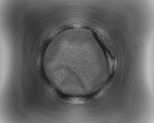 X0000085770221200704091358