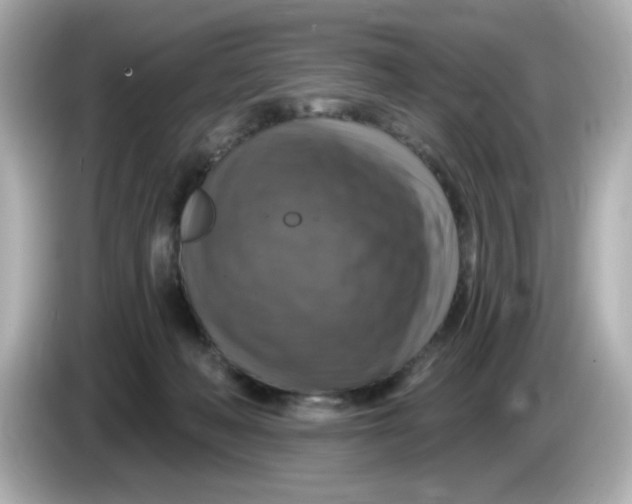 X0000085770222200704091358