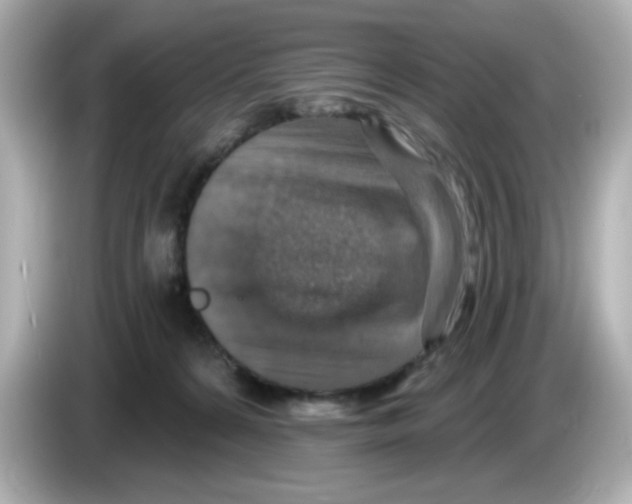 X0000085770224200704091358