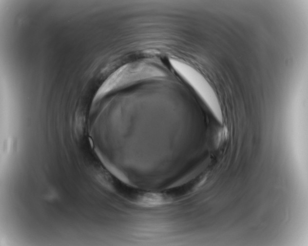 X0000085770227200704091358