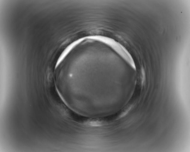 X0000085770228200704091358