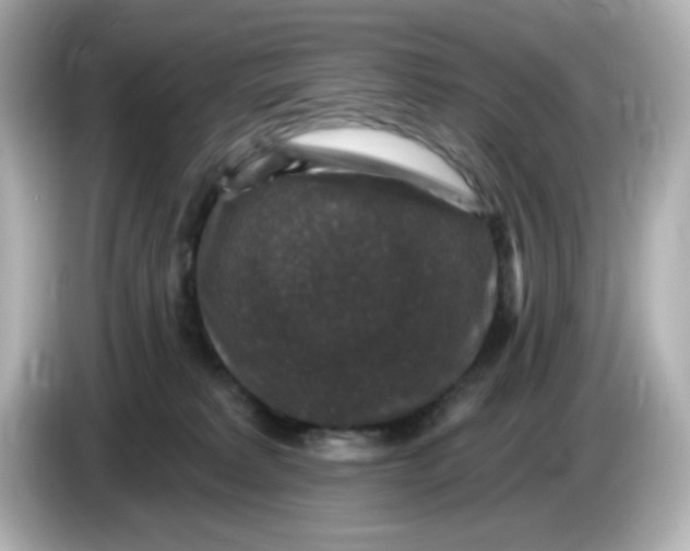 X0000085770229200704091358