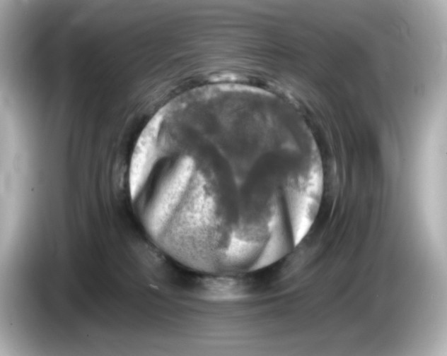 X0000085770230200704091358