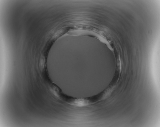 X0000085770231200704091358