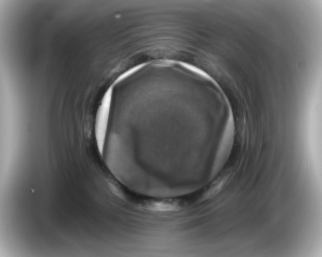 X0000085770232200704091358