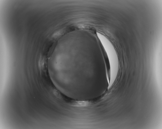 X0000085770233200704091358