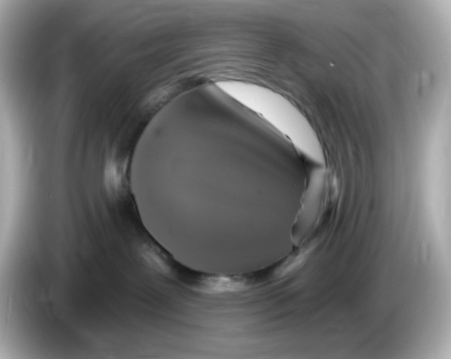 X0000085770239200704091358