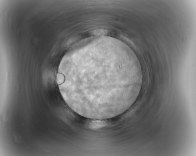 X0000085770240200704091358