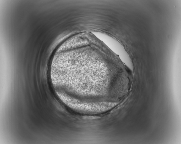 X0000085770242200704091358