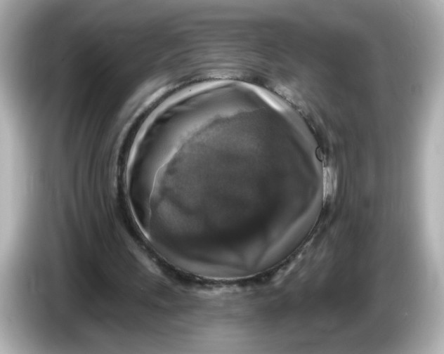 X0000085770243200704091358