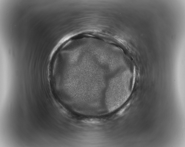 X0000085770244200704091358