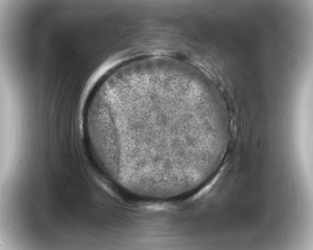 X0000085770246200704091358