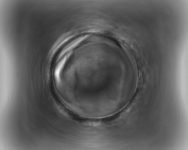 X0000085770247200704091358