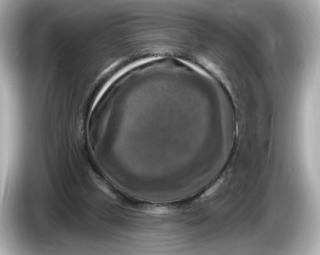 X0000085770249200704091358