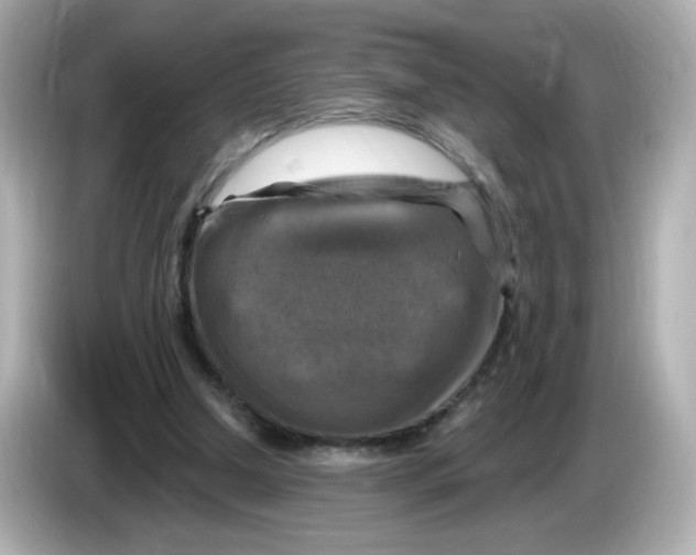 X0000085770250200704091358